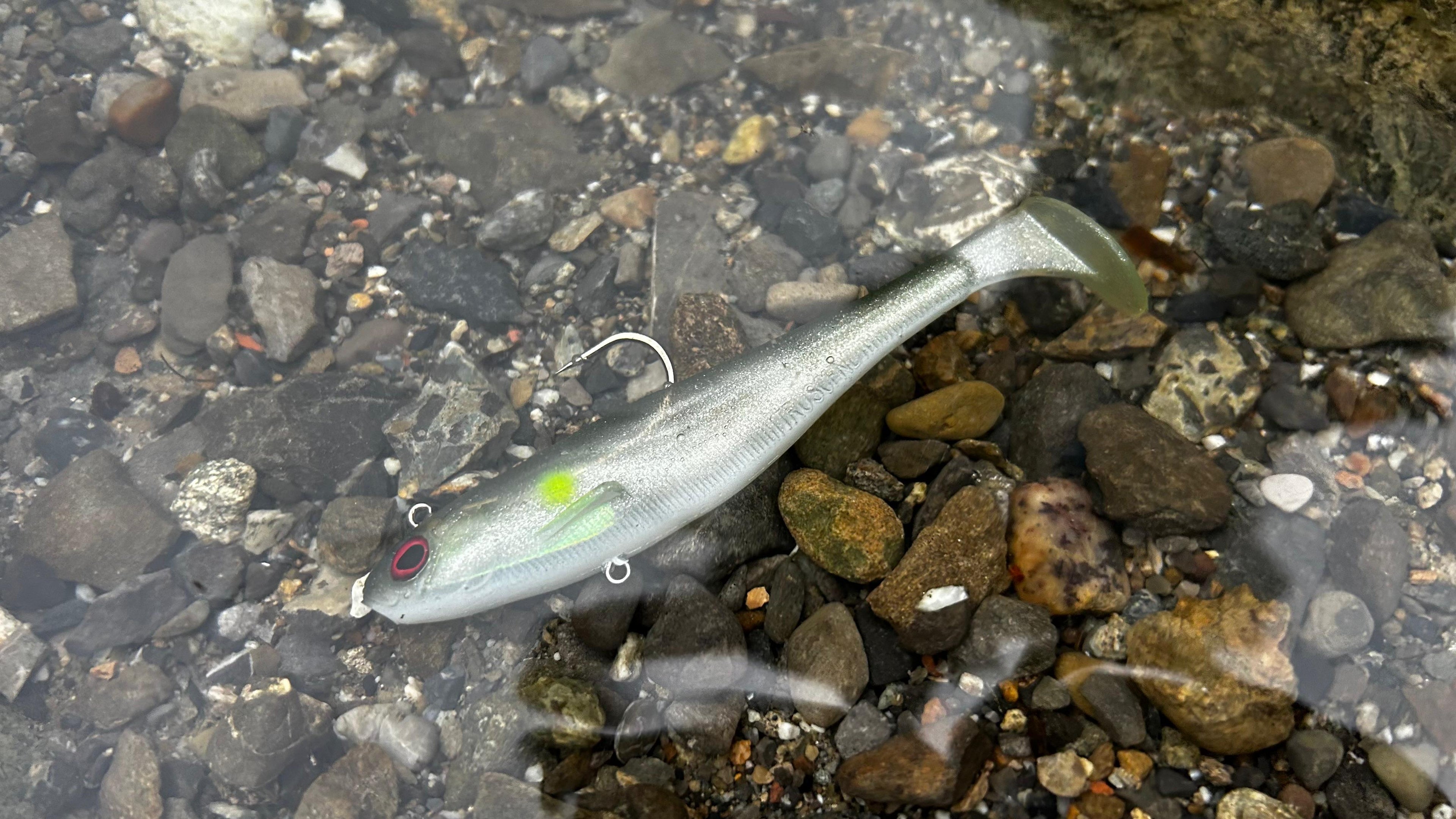 5er-Set Meisterpaddel Inkl. Jig Heads