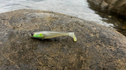 5er-Set Meisterpaddel Inkl. Jig Heads