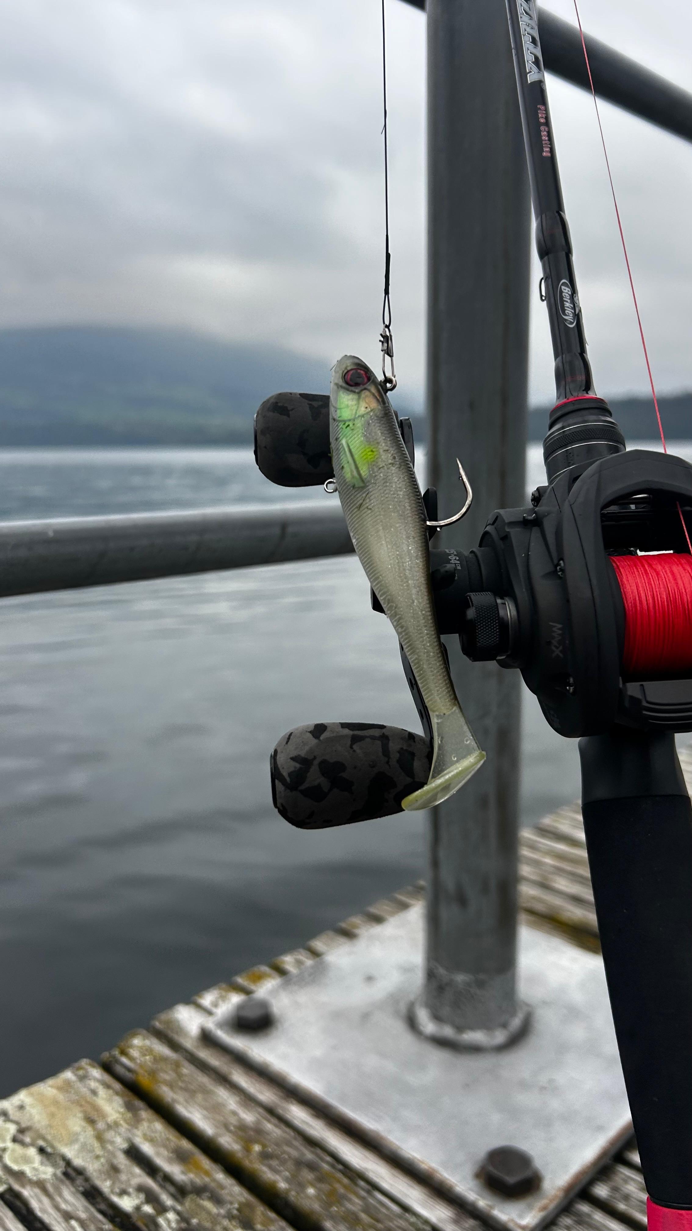 5er-Set Meisterpaddel Inkl. Jig Heads